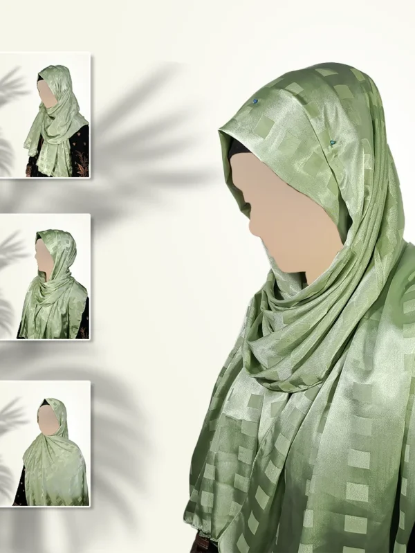 Mossy Sage | Gazan Shehnaz Silk Staller in Soft Earth-Tone Elegance